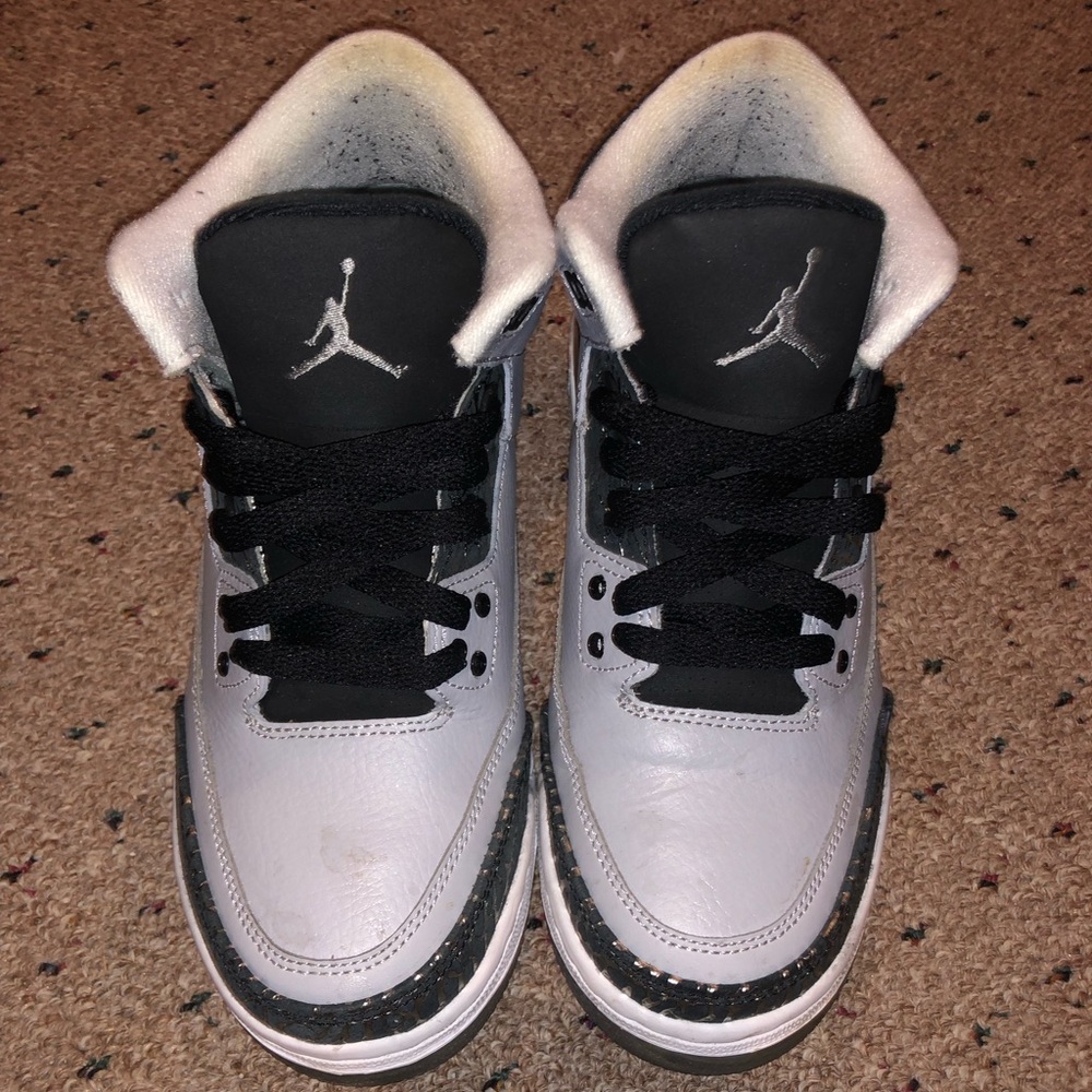 Wolf Grey 3